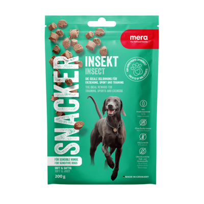 Snacks Snacker Insekt Insekt