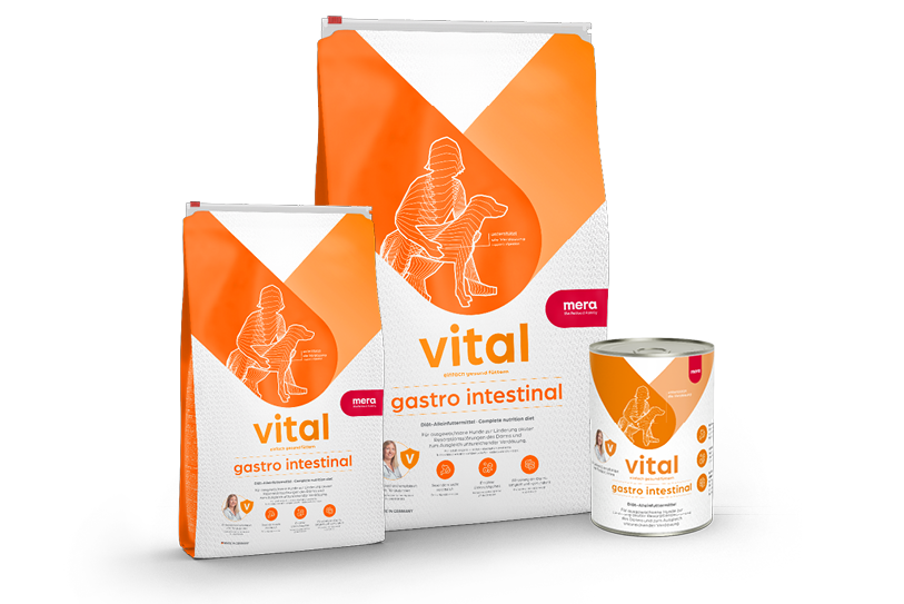 Produktreihe Vital Gastro Intestinal 