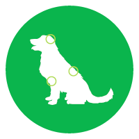 mera vital Anwendungsgebiete