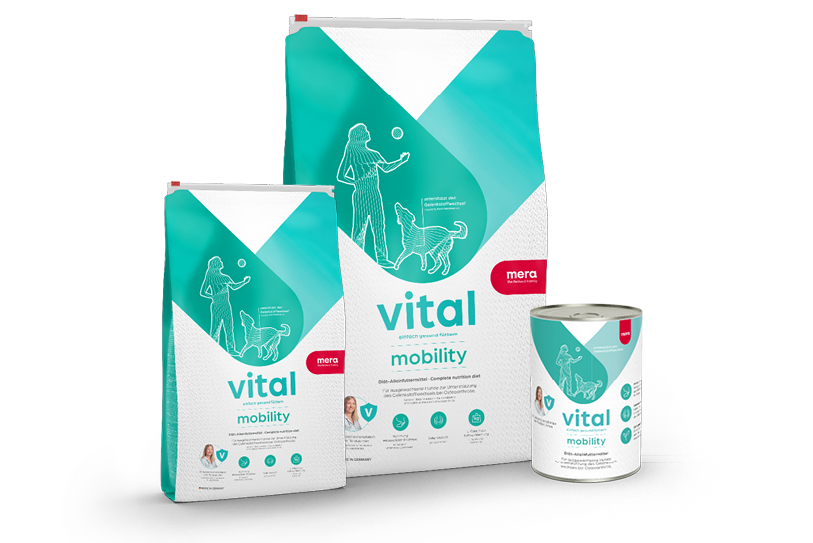 mera Produktreihe Vital mobility Teaser