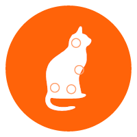 mera vital Anwendungsgebiete